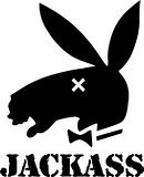 jackass.bmp image by ALWAYSTHINKING